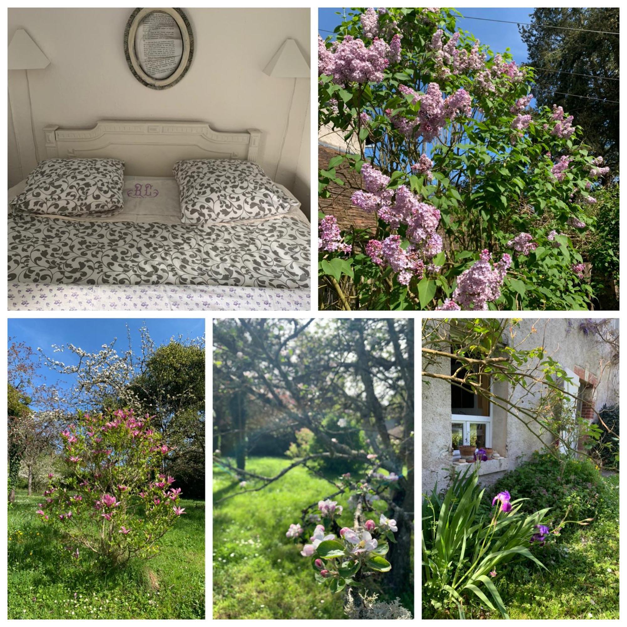 Chambres D'Hotes Les Renardieres Molineuf Εξωτερικό φωτογραφία