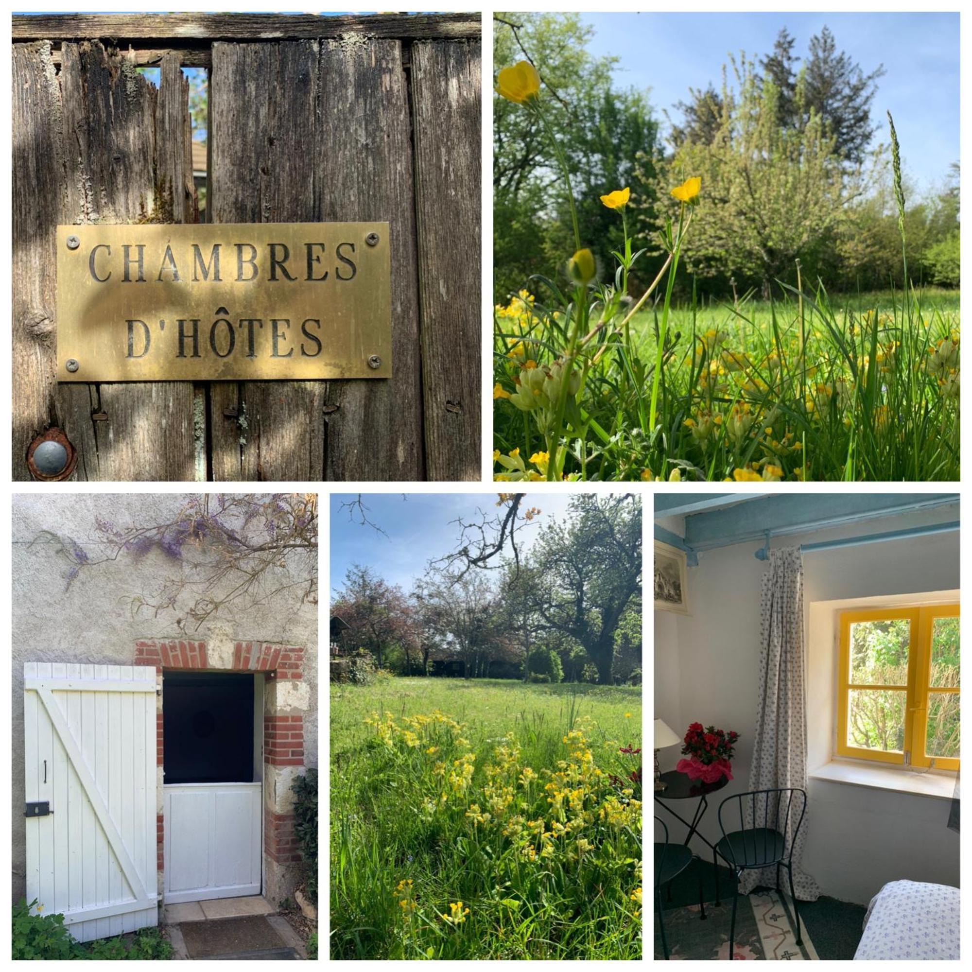 Chambres D'Hotes Les Renardieres Molineuf Εξωτερικό φωτογραφία